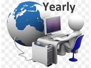 Professional Yearly Services Charges
